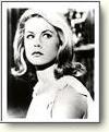 Buy the Bewitched - Photo